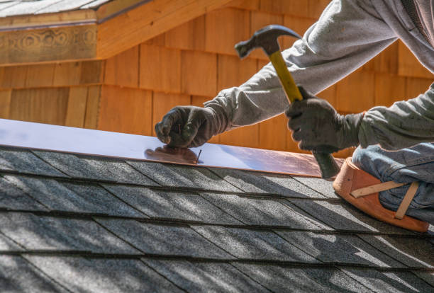 Best Steel Roofing  in La Nte, MO
